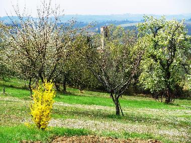 Maison de vacances /en/au san casciano val di pesa (Firenze)ou appartement ou maison de vacances