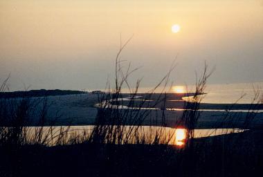 Appartement de vacances �/en/au Vrouwenpolder (Zeeland)ou appartement ou maison de vacances