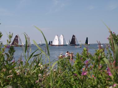 Villa /en/au Oudemirdum (Friesland) (Friesland)ou appartement ou maison de vacances