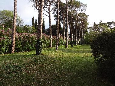 Palais / Ch�teau �/en/au Campello sul Clitunno (Perugia)ou appartement ou maison de vacances