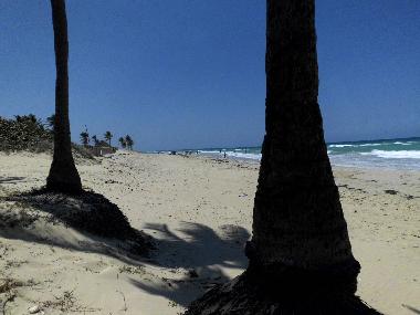 Appartement de vacances �/en/au Havanna - Vedado (Ciudad de la Habana)ou appartement ou maison de vacances