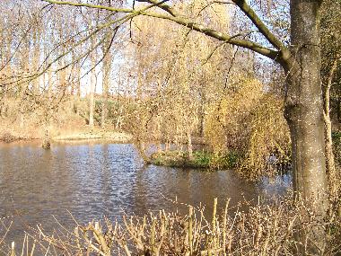 Maison de vacances /en/au Hude (Nordsee-Festland)ou appartement ou maison de vacances