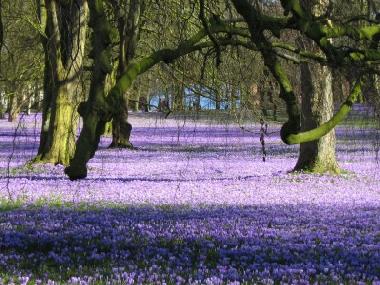Maison de vacances /en/au Hude (Nordsee-Festland)ou appartement ou maison de vacances