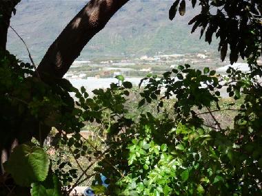 Maison de vacances /en/au Los Llanos (La Palma und El Hierro)ou appartement ou maison de vacances