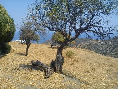 Maison de vacances �/en/au Sifnos (Kyklades)ou appartement ou maison de vacances