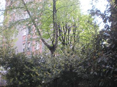 Appartement de vacances /en/au MILANO (Milano)ou appartement ou maison de vacances