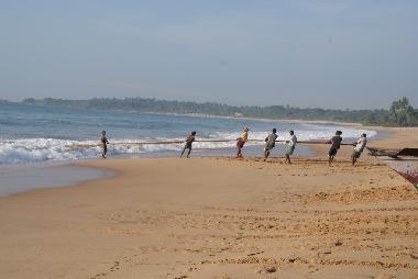 Villa �/en/au Rekawa (Matara)ou appartement ou maison de vacances