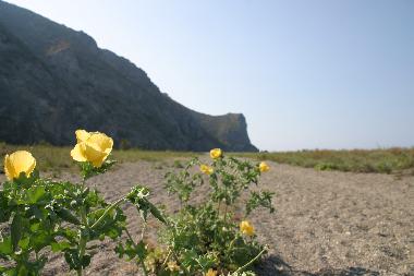 Appartement de vacances �/en/au Rodi Milici (ME) (Messina)ou appartement ou maison de vacances
