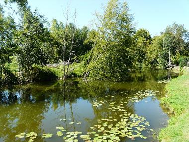 Maison de vacances �/en/au Eymet (Dordogne)ou appartement ou maison de vacances