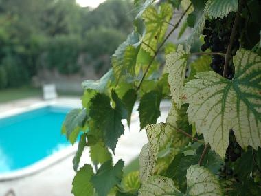 Maison de vacances �/en/au Varennes le Grand (Sa�ne-et-Loire)ou appartement ou maison de vacances