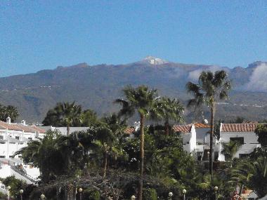 VUE DE LA TERRASSE DE L