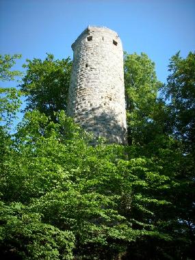Appartement de vacances /en/au Trusetal (Thringer Wald)ou appartement ou maison de vacances