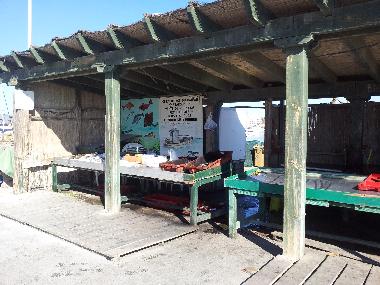 Appartement de vacances �/en/au Le Barcares (Pyr�n�es-Orientales)ou appartement ou maison de vacances