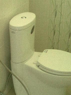 toilet