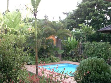 garden and swimming pool