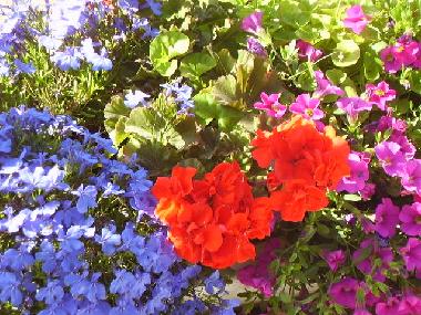 Appartement de vacances �/en/au Tel Aviv (Tel Aviv)ou appartement ou maison de vacances