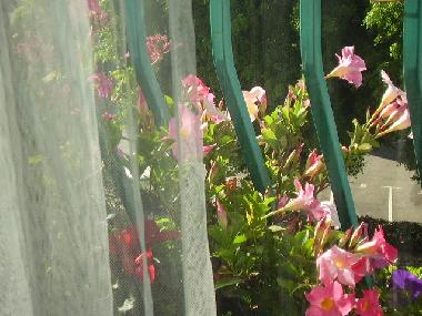 Appartement de vacances �/en/au Tel Aviv (Tel Aviv)ou appartement ou maison de vacances