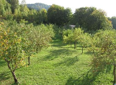 Maison de vacances �/en/au Kolasin (Mont�n�gro)ou appartement ou maison de vacances