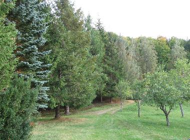 Maison de vacances �/en/au Kolasin (Mont�n�gro)ou appartement ou maison de vacances