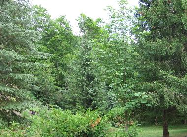 Maison de vacances �/en/au Kolasin (Mont�n�gro)ou appartement ou maison de vacances