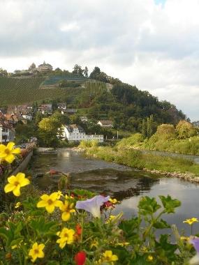 Appartement de vacances /en/au Freudenstadt (Schwarzwald)ou appartement ou maison de vacances