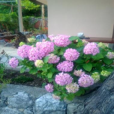 Maison de vacances �/en/au Dubrovnik (Dubrovacko-Neretvanska)ou appartement ou maison de vacances