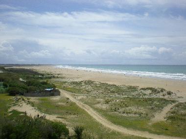 Appartement de vacances �/en/au Conil (C�diz)ou appartement ou maison de vacances