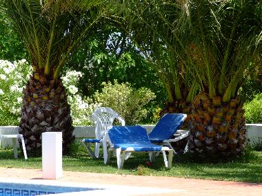 Appartement de vacances �/en/au Jatar (Granada)ou appartement ou maison de vacances