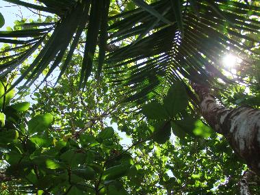 Maison de vacances �/en/au Horquetas (Heredia)ou appartement ou maison de vacances