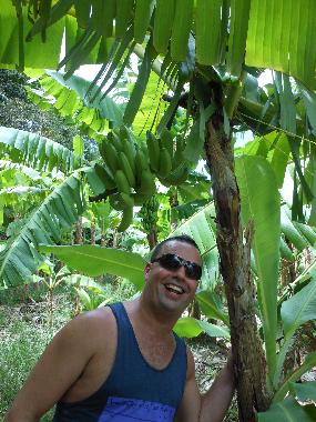 Maison de vacances �/en/au Micoud (Micoud)ou appartement ou maison de vacances