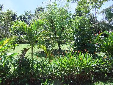 Maison de vacances �/en/au Horquetas (Heredia)ou appartement ou maison de vacances