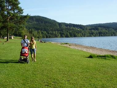 Villa �/en/au Lipno nad Vltavou (Budejovicky Kraj)ou appartement ou maison de vacances