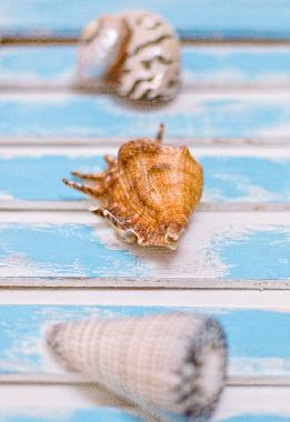 Maison de vacances �/en/au Cape Town (Western Cape)ou appartement ou maison de vacances