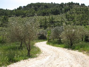 Villa /en/au n/a (Ragusa)ou appartement ou maison de vacances