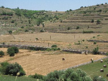 Villa /en/au n/a (Ragusa)ou appartement ou maison de vacances