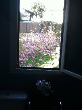 Appartement de vacances �/en/au Santiago compostela (A Coru�a)ou appartement ou maison de vacances