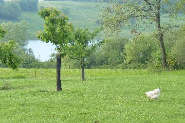 Maison de vacances /en/au LAVIT DE LOMAGNE (Tarn-et-Garonne)ou appartement ou maison de vacances