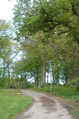 chemin allant de la route  la maison