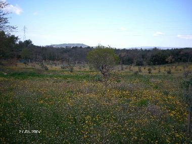 Appartement de vacances �/en/au Apt (Vaucluse)ou appartement ou maison de vacances