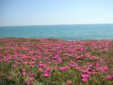 Maison de vacances /en/au Scicli (Ragusa)ou appartement ou maison de vacances