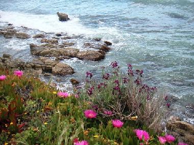 Maison de vacances /en/au Scicli (Ragusa)ou appartement ou maison de vacances