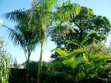 Chambre avec petit d�jeuner �/en/au Mariano Roque Alonso (Central)ou appartement ou maison de vacances