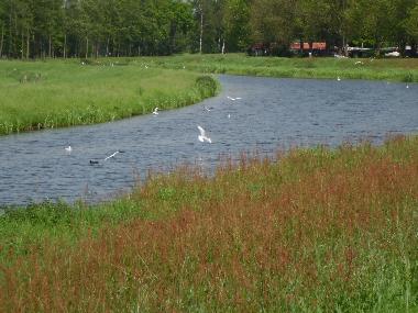 Maison de vacances /en/au Winterswijk (Gelderland)ou appartement ou maison de vacances