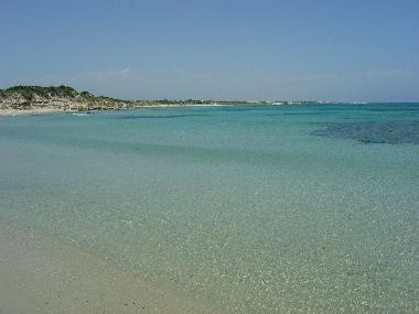 Appartement de vacances �/en/au Ostuni (Brindisi)ou appartement ou maison de vacances