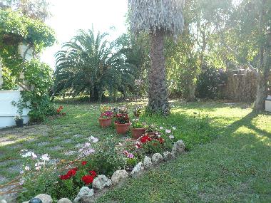 Maison de vacances �/en/au Argyrades (Kerkyra)ou appartement ou maison de vacances