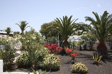 Maison de vacances �/en/au Playa Blanca (Lanzarote)ou appartement ou maison de vacances