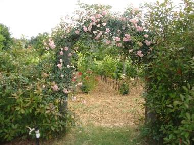 Appartement de vacances /en/au Cortona (Arezzo)ou appartement ou maison de vacances