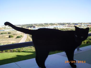 Appartement de vacances �/en/au Praia da Rocha (Algarve)ou appartement ou maison de vacances