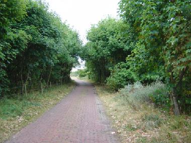 Maison de vacances /en/au Ameland, Nes (Friesland)ou appartement ou maison de vacances
