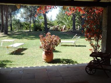 Maison de vacances /en/au Baja Sardinia (Gallura )ou appartement ou maison de vacances